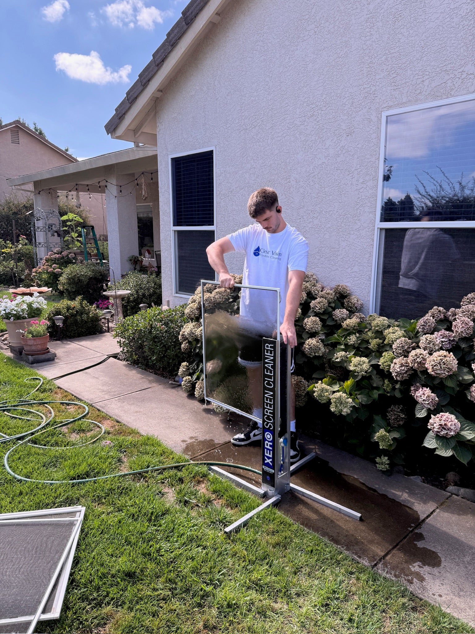 Window screen cleaning